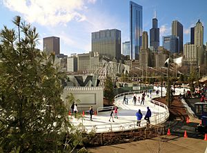 Maggie Daley Park 2014.JPG