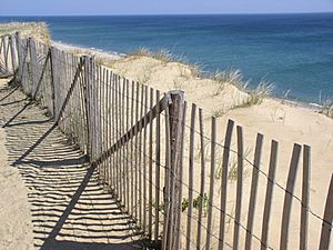 Marconi-beach-cape-cod