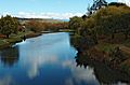 Meander-Deloraine-20070422-036