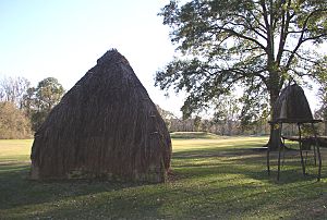 Natchez mound2 HRoe 2004