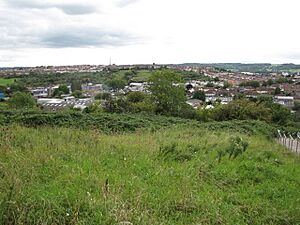 Novers Common