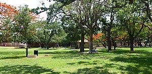 Peacock Park, Miami.jpg