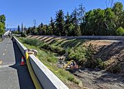 Permanente Creek diversion