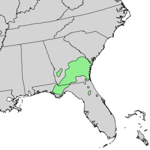 Pinckneya bracteata range map 1.png