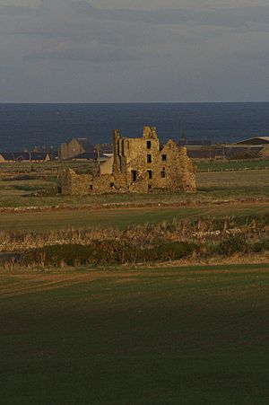 Pittulie from Pitsligo (3223347614)