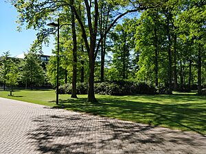 Radboud law faculty in summer