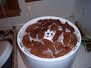 Raw jerky in dehydrator