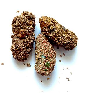 Regurgitated Pellets of Strepera graculina