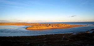 River Ythan mouth