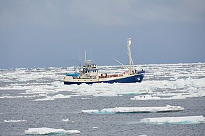 Sealing vessel "Havsel"