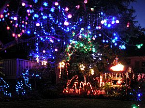 Suburban Christmaslights