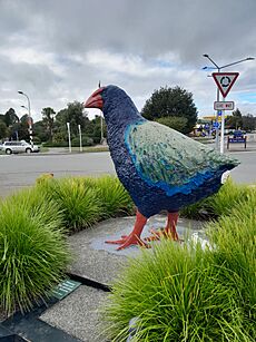 Te Anau Takahe