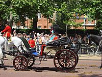 Trooping the Colour 2009 047