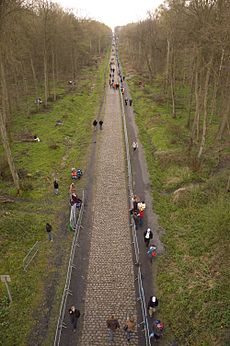 Trouee dArenberg - Paris-Roubaix 2008