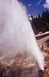 ValentineGeyser-Pittenger1972.jpg