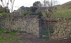 Vallejo flour mill 2008