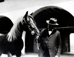 W.K. Kellogg with Antez (1929)