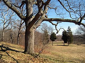 Waverly Oaks, Belmont, MA - 3.JPG