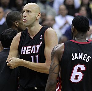 Zydrunas Ilgauskas Heat