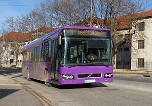 11-es busz (REM-840)