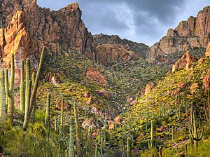 Apache trail