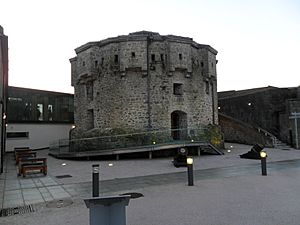 Athlone Castle Westmeath