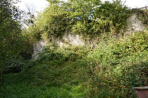 Barkway Chalk Pit 3