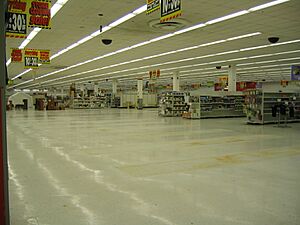 Big Kmart liquidation (Levittown, NY)