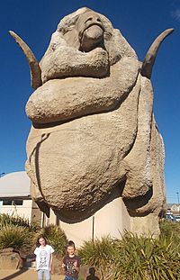 Big Merino.jpg