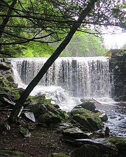 Buffam Falls