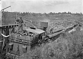 C1922 Mangapehi sawmill log train.jpg