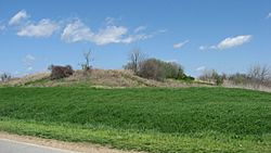 Campbell Site platform mound.jpg