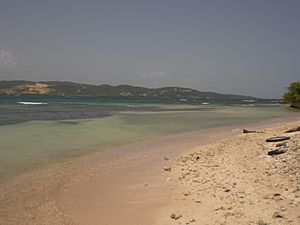 Cayo Caribe - panoramio