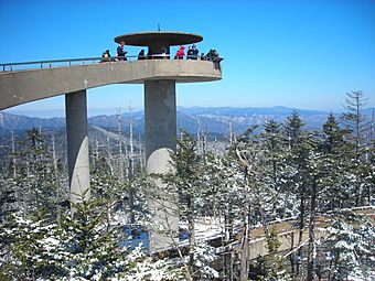 Clingman's Dome Tower on a Sunny, Snowy Day.JPG