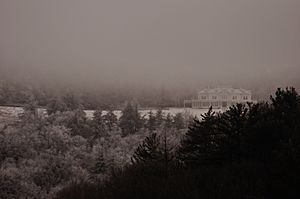 Cone Manor in fog