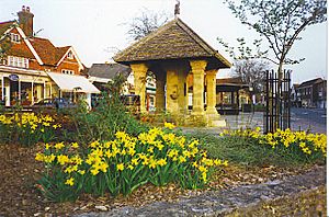 Cranleigh High Street. - geograph.org.uk - 111400.jpg