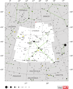 Cygnus IAU.svg