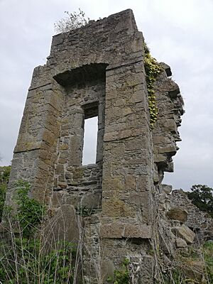 Donaghcumper south window