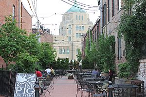 Downtown Champaign Alley