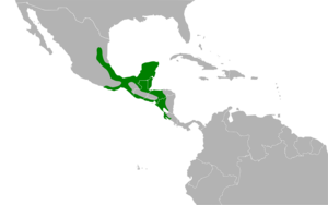 Euphonia affinis map.svg