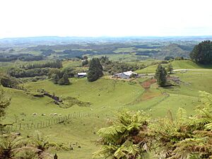 Farming Country In Waitomo Area.jpg