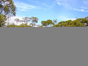 Gluepot Reserve, South Australia