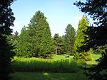 Graver Arboretum - 358.jpg