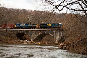 Great Cacapon Bridge (5239844260)