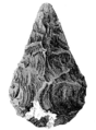 Handaxe by John Frere