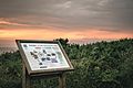 Heysham Nature Reserve