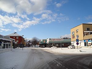 Central Hofors in February 2009