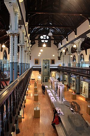 Hunterian Museum, main hall