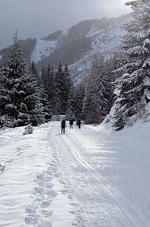 IronHorseStateParkTrailXCSkiing