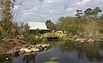 Jacksonville Zoo Asian Bamboo Garden.jpg